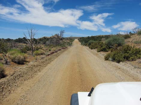 Wild Horse Road