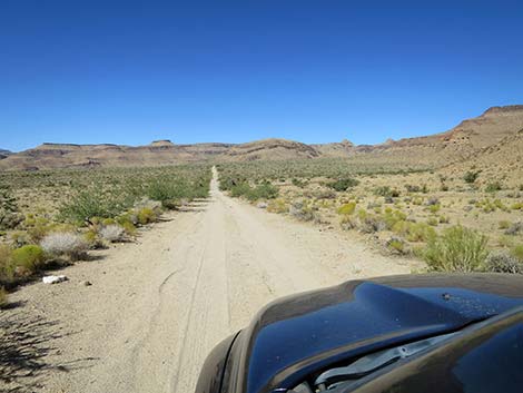 Wild Horse Road