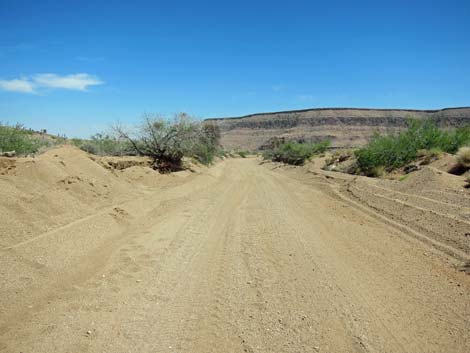 Wild Horse Road