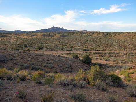 Rock Spring Loop Trail