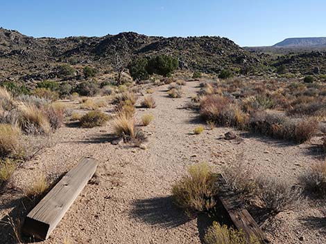 Rock Spring Loop Trail