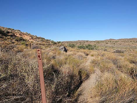 Rock Spring Loop Trail