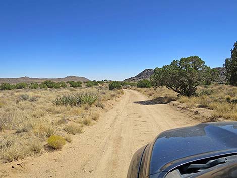 Rock Spring Loop Trail