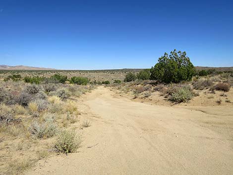 Rock Spring Loop Trail