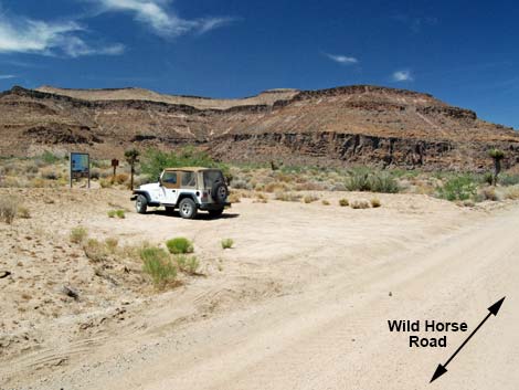 Wild Horse Spur Trail