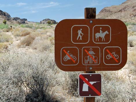 Wild Horse Spur Trail