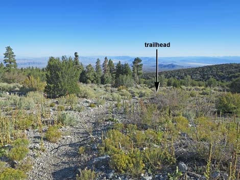 Bonanza Peak Trail