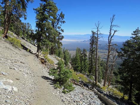 Bonanza Peak Trail