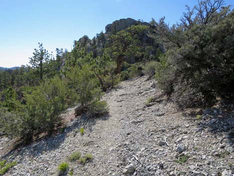 Bonanza Trail