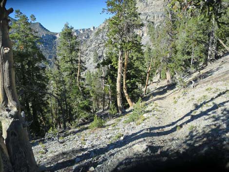 Bonanza Trail