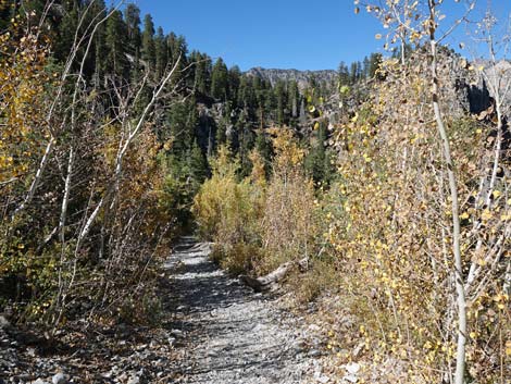 Cathedral Rock Trail