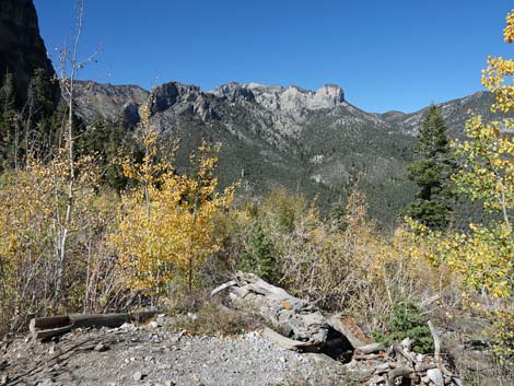 Cathedral Rock Trail