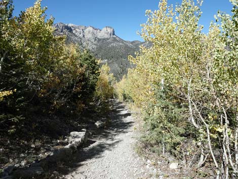 Cathedral Rock Trail