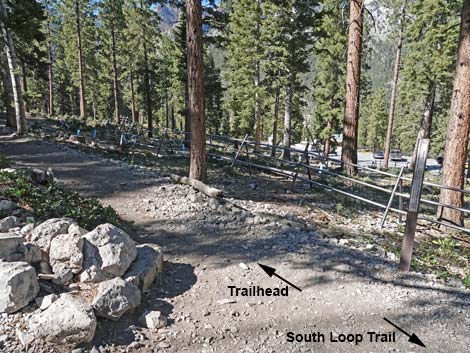 Cathedral Rock Trail