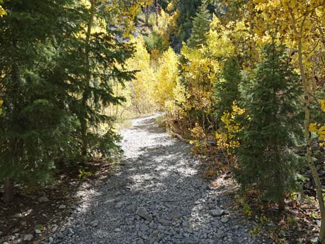 Cathedral Rock Trail