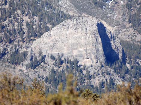 Cathedral Rock Trail