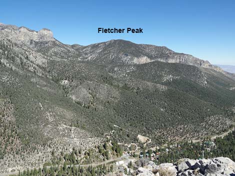 Cathedral Rock Trail