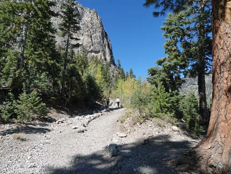 Cathedral Rock Trail