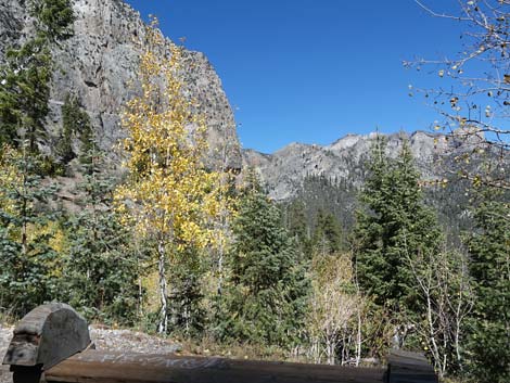 Cathedral Rock Trail