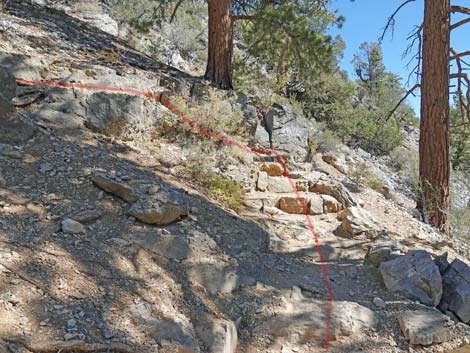 Cathedral Rock Trail