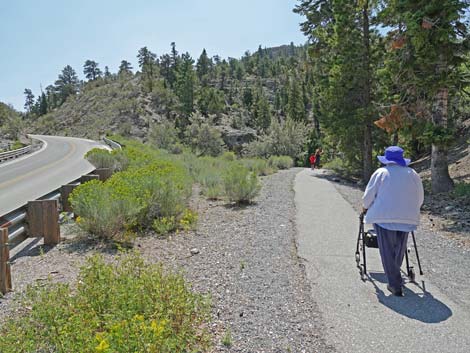 Deer Creek Trail