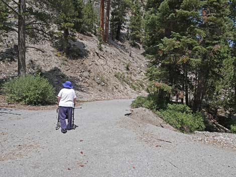 Deer Creek Trail