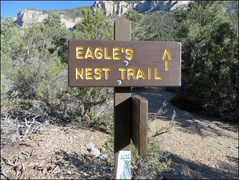 Eagle's Nest Loop Trail