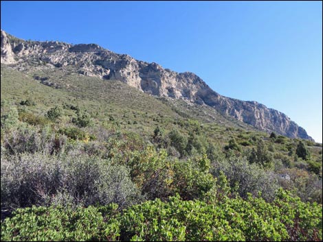 Eagle's Nest Loop Trail