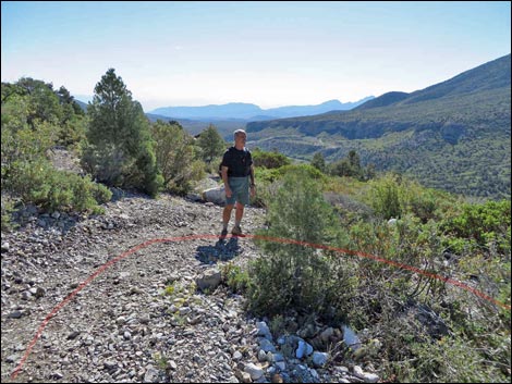 Eagle's Nest Loop Trail