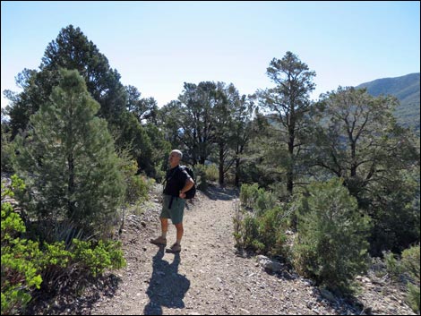 Eagle's Nest Loop Trail