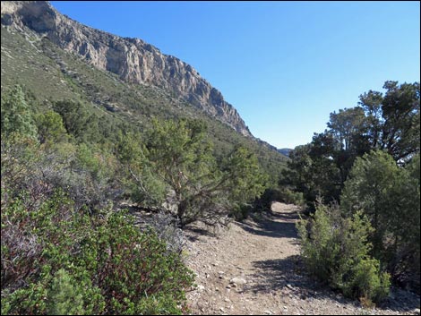 Eagle's Nest Loop Trail