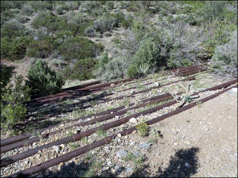 Eagle's Nest Loop Trail