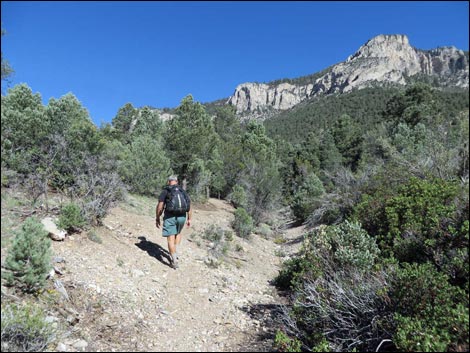 Eagle's Nest Loop Trail