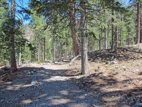 Echo Overlook Trail