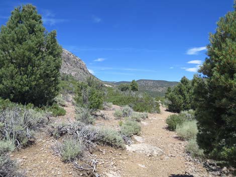 Escarpment Trail