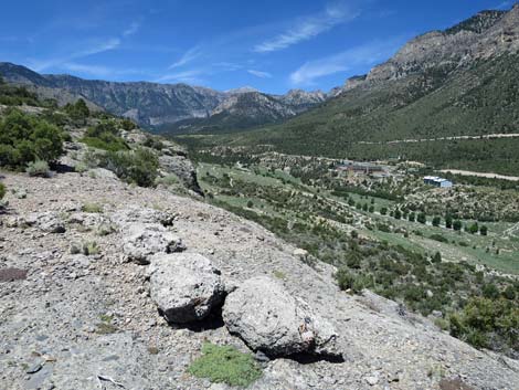 Escarpment Trail