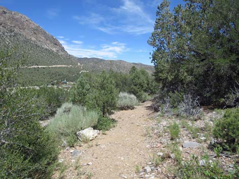 Escarpment Trail