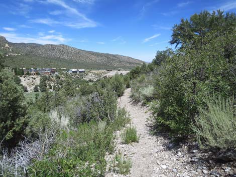 Escarpment Trail