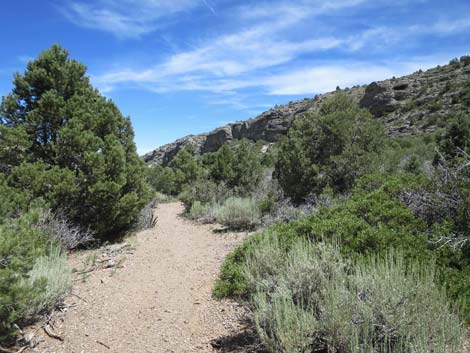 Escarpment Trail