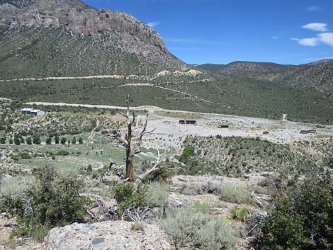 Escarpment Trail