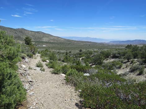 Escarpment Trail