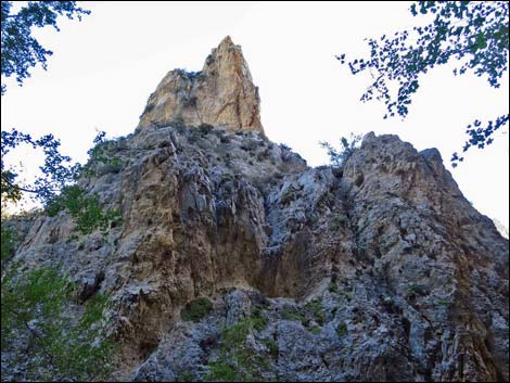 Fletcher Canyon Trail