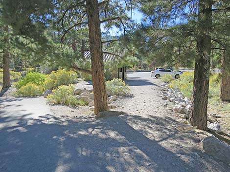 Fletcher Canyon Trail 