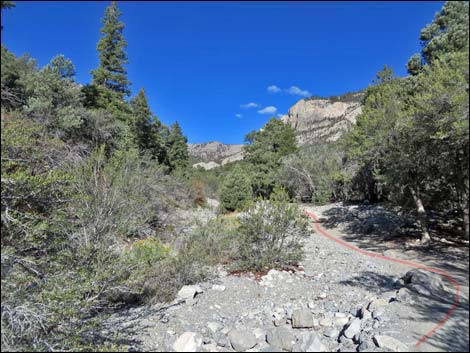 Fletcher Canyon Trail