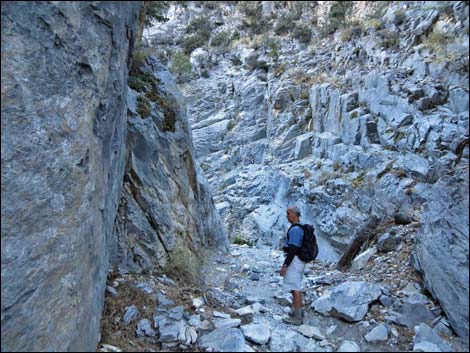 Fletcher Canyon Trail