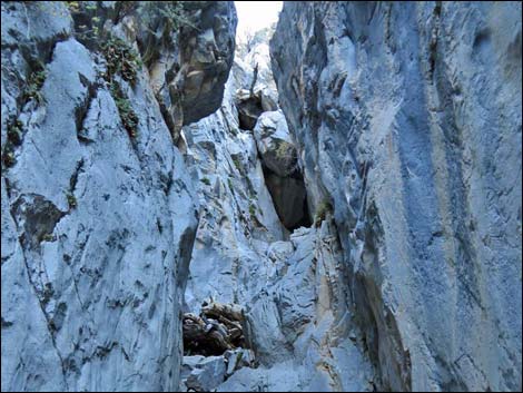 Fletcher Canyon Trail