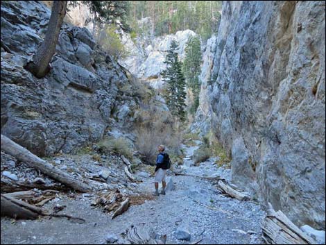 Fletcher Canyon Trail