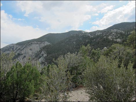 Fletcher Peak Trail