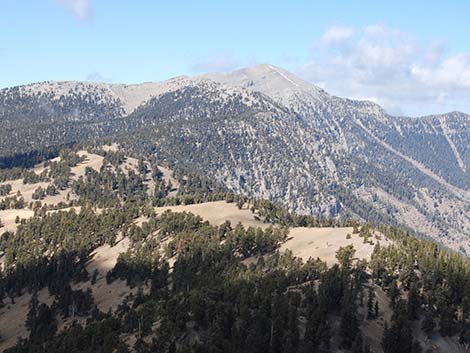 Griffith Peak