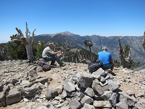 Griffith Peak